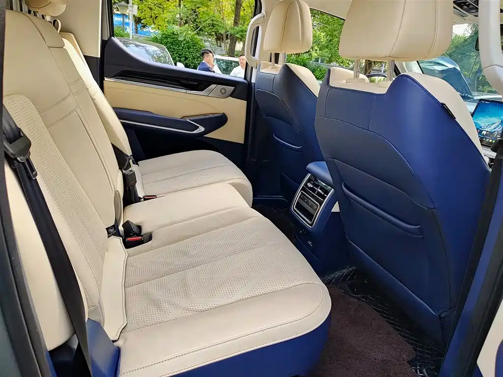 Shanhaipao 2023 3.0T V6 Gasoline Premium Edition купить на сайте DeffCars