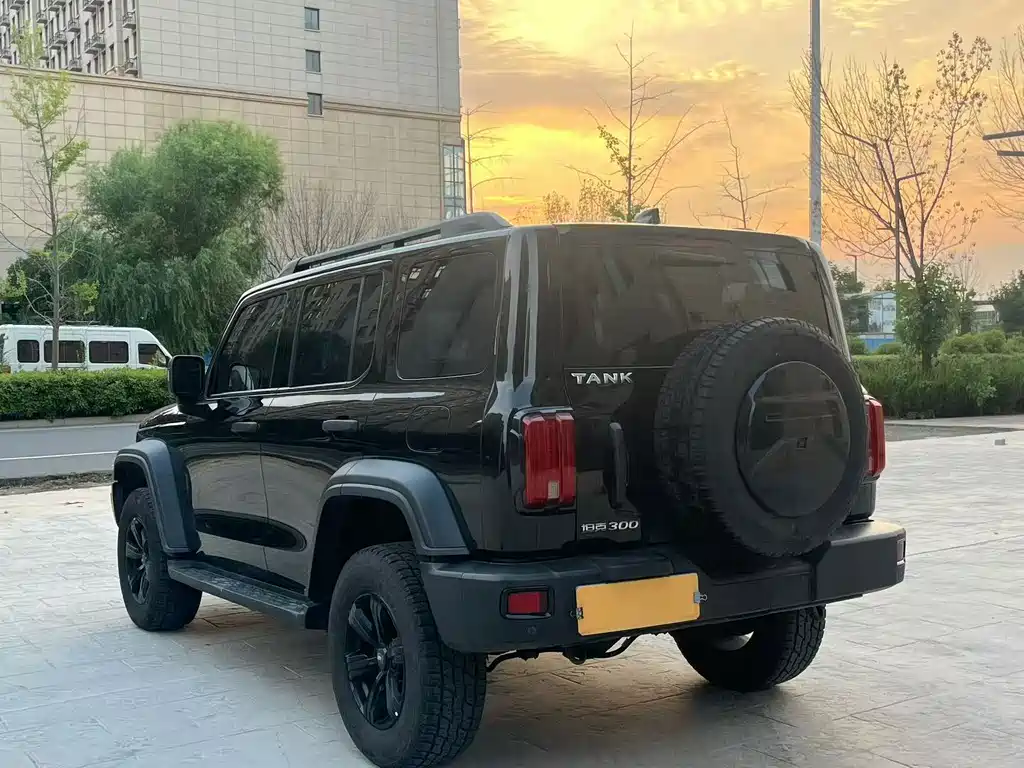 Tank 300 2021 Off-Road Version 2.0T Conqueror купить на сайте DeffCars