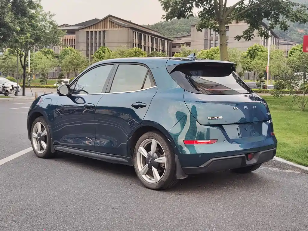 Euler Good Cat 2021 Model 400km Standard Range Athena Edition Lithium Iron Phosphate купить на сайте DeffCars