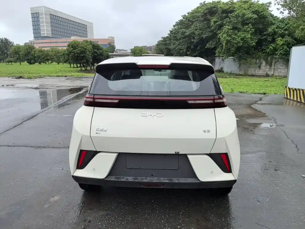 Seagull 2025 Smart Driving Edition 305km Dynamic купить на сайте DeffCars