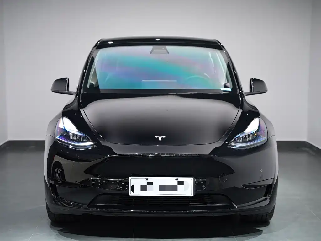 Model Y 2022 rear-wheel drive version купить на сайте DeffCars