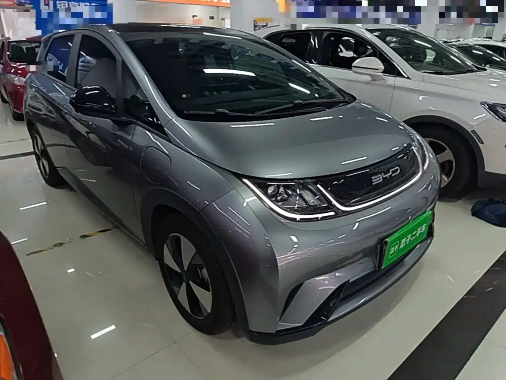 Dolphin 2023 420km Fashion Edition купить на сайте DeffCars