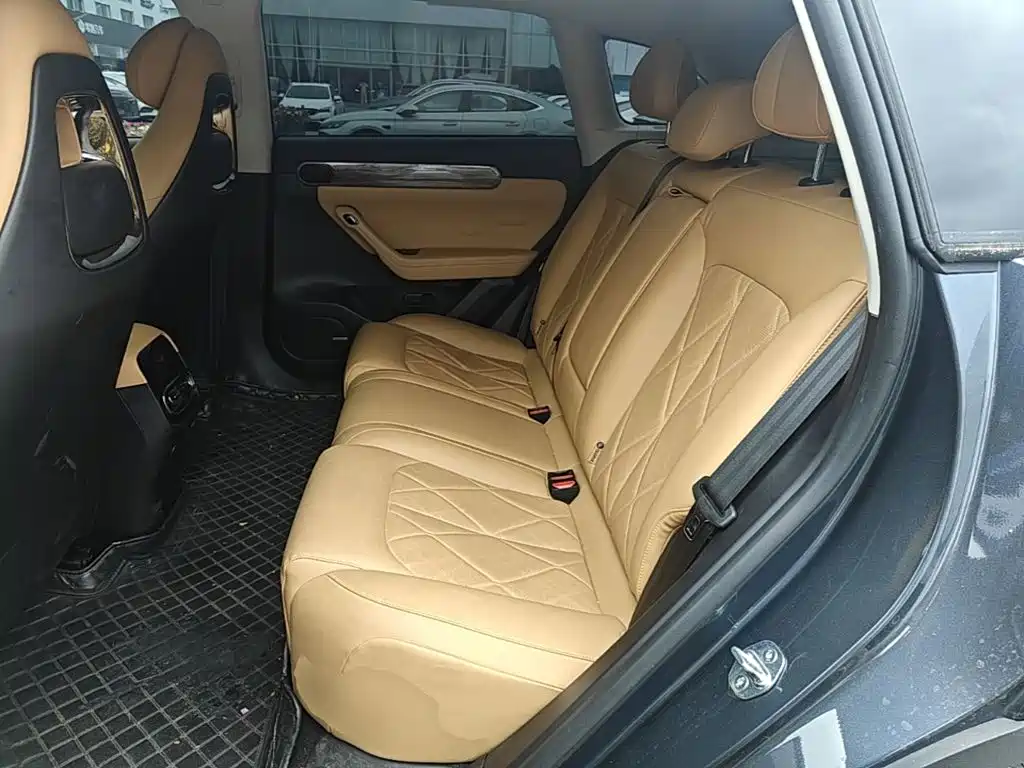 Leapmoon C11 2024 Extended Range 300 Exclusive Edition купить на сайте DeffCars