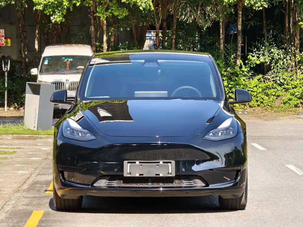 Model Y 2022 rear-wheel drive version купить на сайте DeffCars