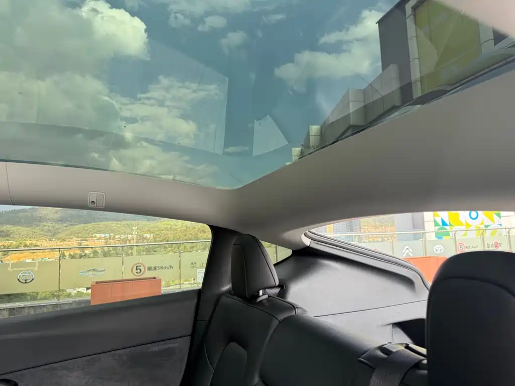 Model Y 2021 standard range rear-wheel drive version купить на сайте DeffCars