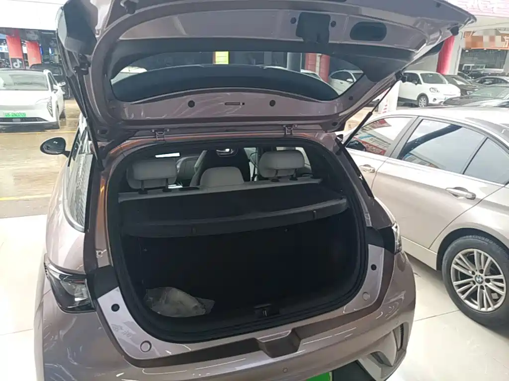Dolphin 2021 405km fashion version купить на сайте DeffCars