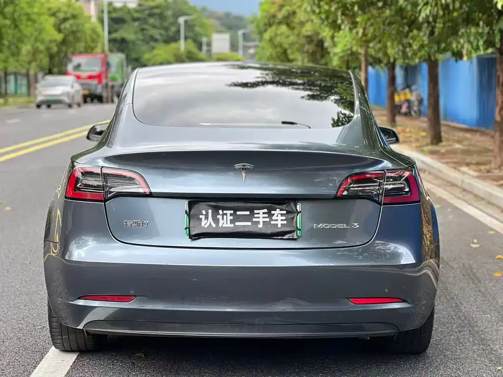 Model 3 2022 rear-wheel drive version купить на сайте DeffCars