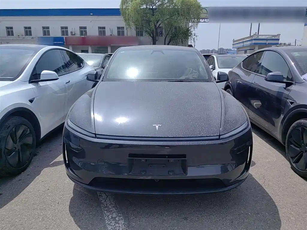 Model Y 2025 rear-wheel drive version купить на сайте DeffCars