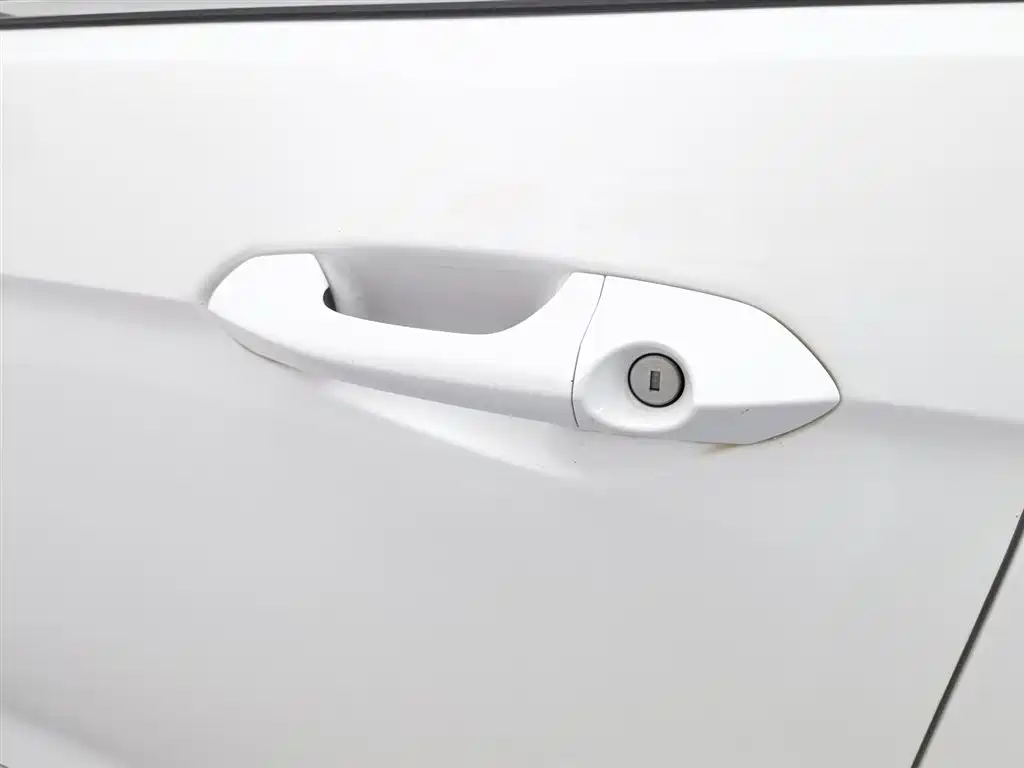 Forex 2019 1.5L automatic joy model купить на сайте DeffCars