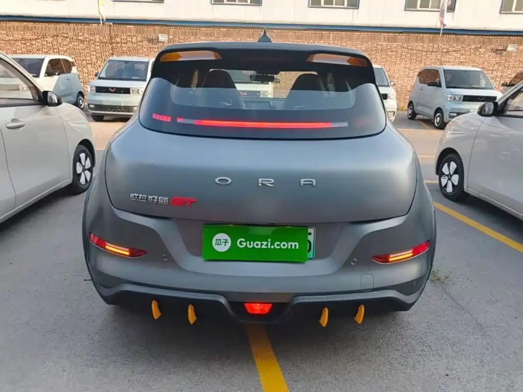 Euler Good Cat GT 2023 Mulan Edition 401km Premium Model купить на сайте DeffCars