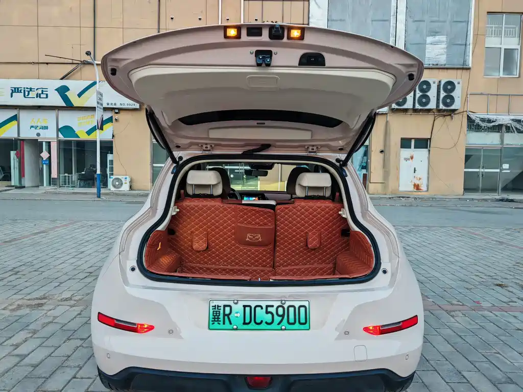 Euler Good Cat 2022 model 400km standard battery life premium type ternary lithium купить на сайте DeffCars