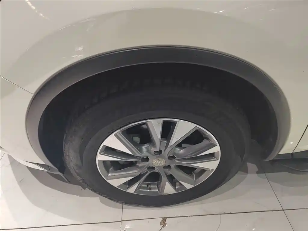 Loulan 2019 2.5L XL 2WD Intelligent Deluxe Edition National VI купить на сайте DeffCars