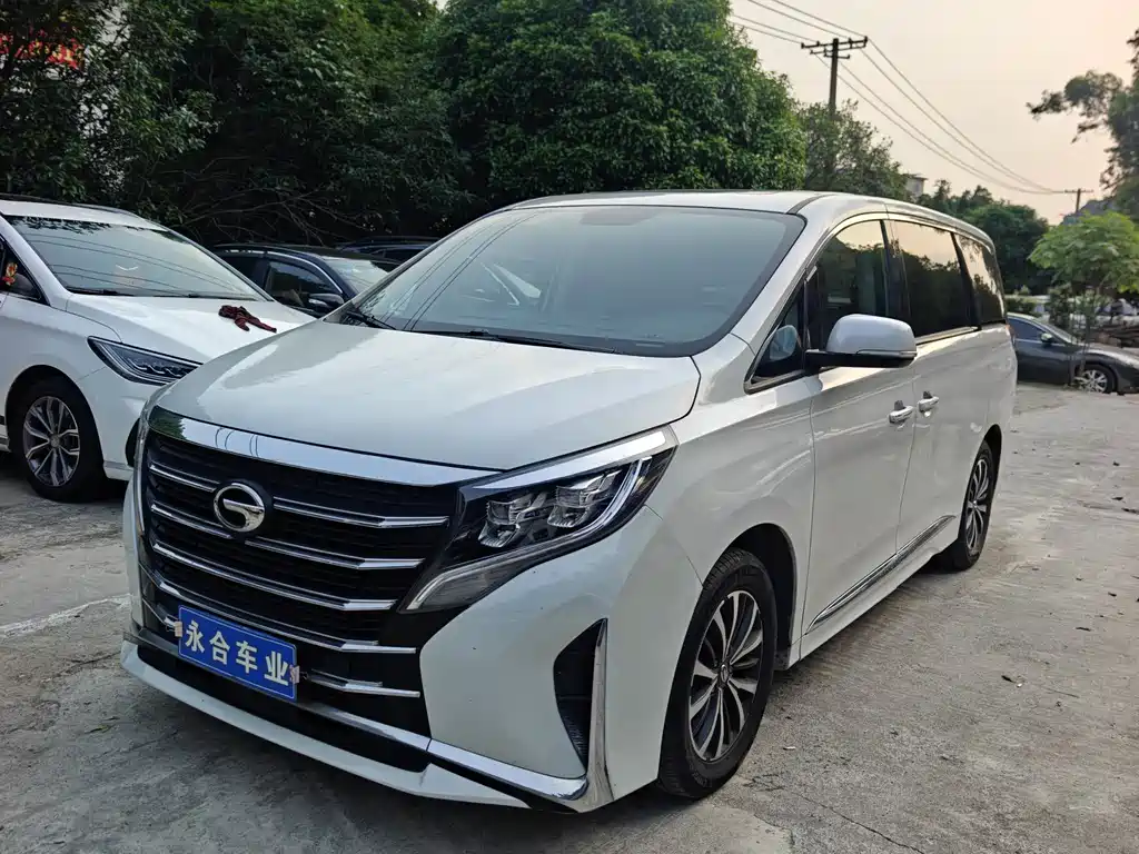 Trumpchi M8 2023 Lead Show Series 390T Exclusive Edition купить на сайте DeffCars