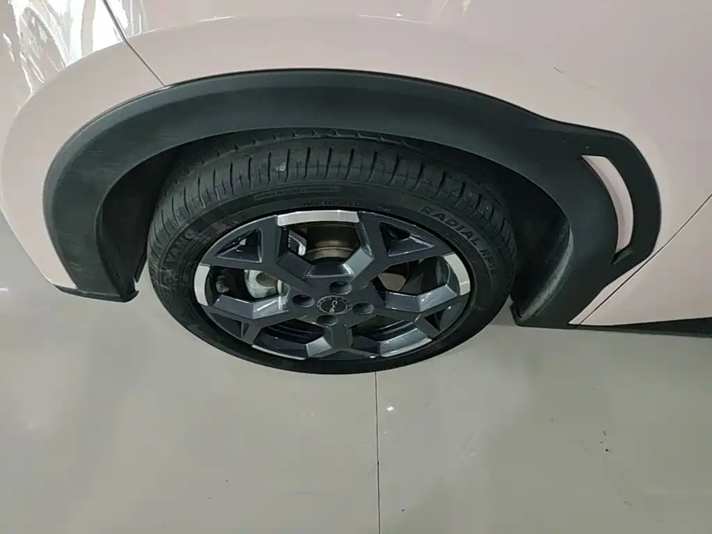 Seagull 2024 Honor Edition 305km Free Edition купить на сайте DeffCars