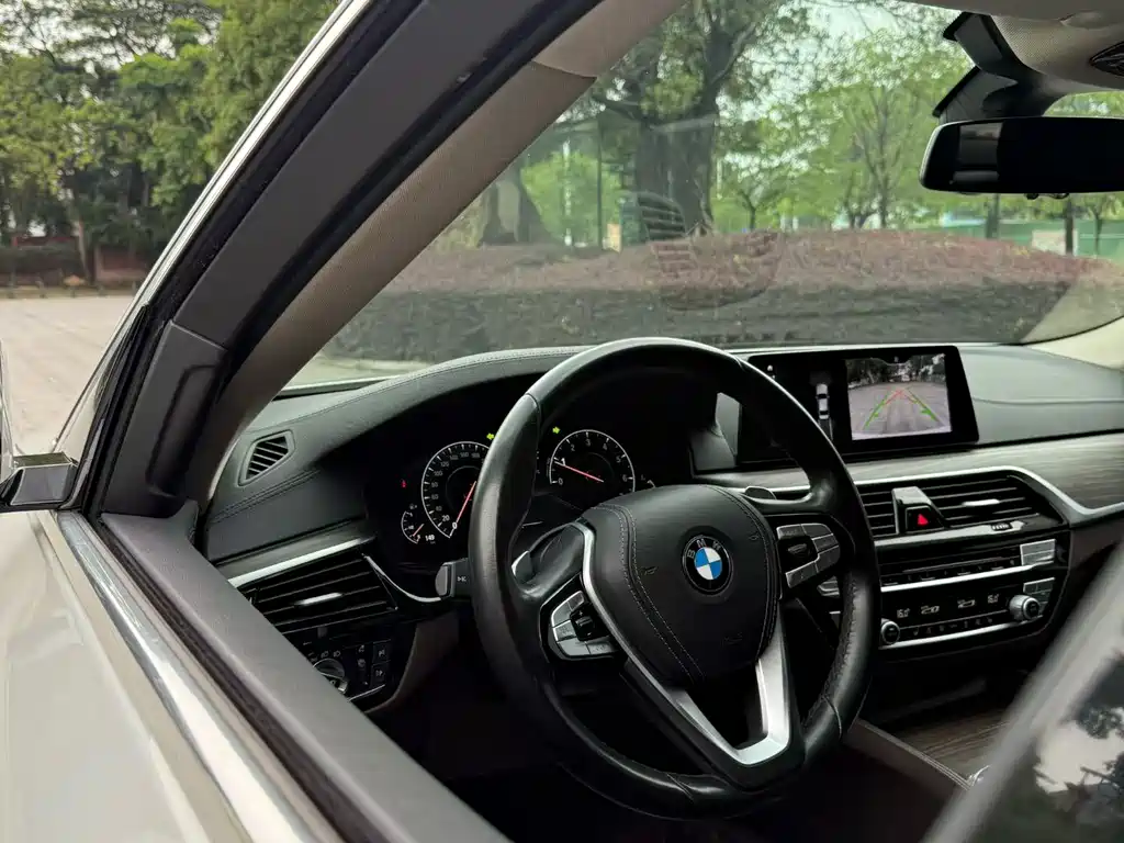 BMW 5 Series 2019 530Li Leading Luxury Package купить на сайте DeffCars