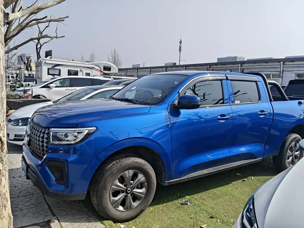 Cannon 2023 2.0T commercial version automatic gasoline four-wheel drive elite standard box GW4C20B купить на сайте DeffCars