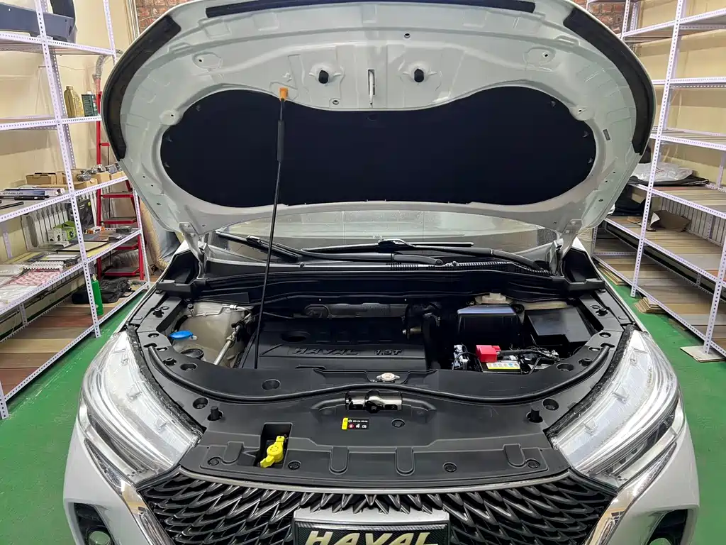 Haval M6 2021 PLUS 1.5T DCT luxury smart connected model купить на сайте DeffCars