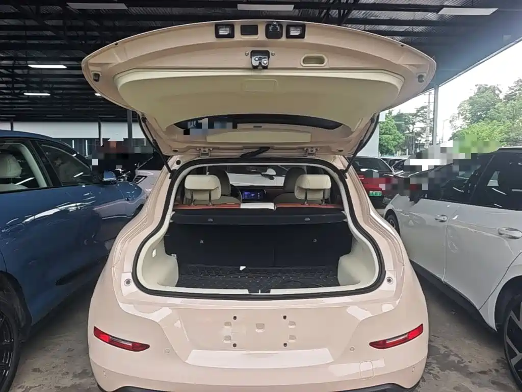 ORA Good Cat 2022 Morandi version 400km standard battery life luxury type lithium iron phosphate купить на сайте DeffCars