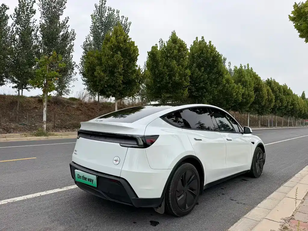 Model Y 2025 rear-wheel drive version купить на сайте DeffCars