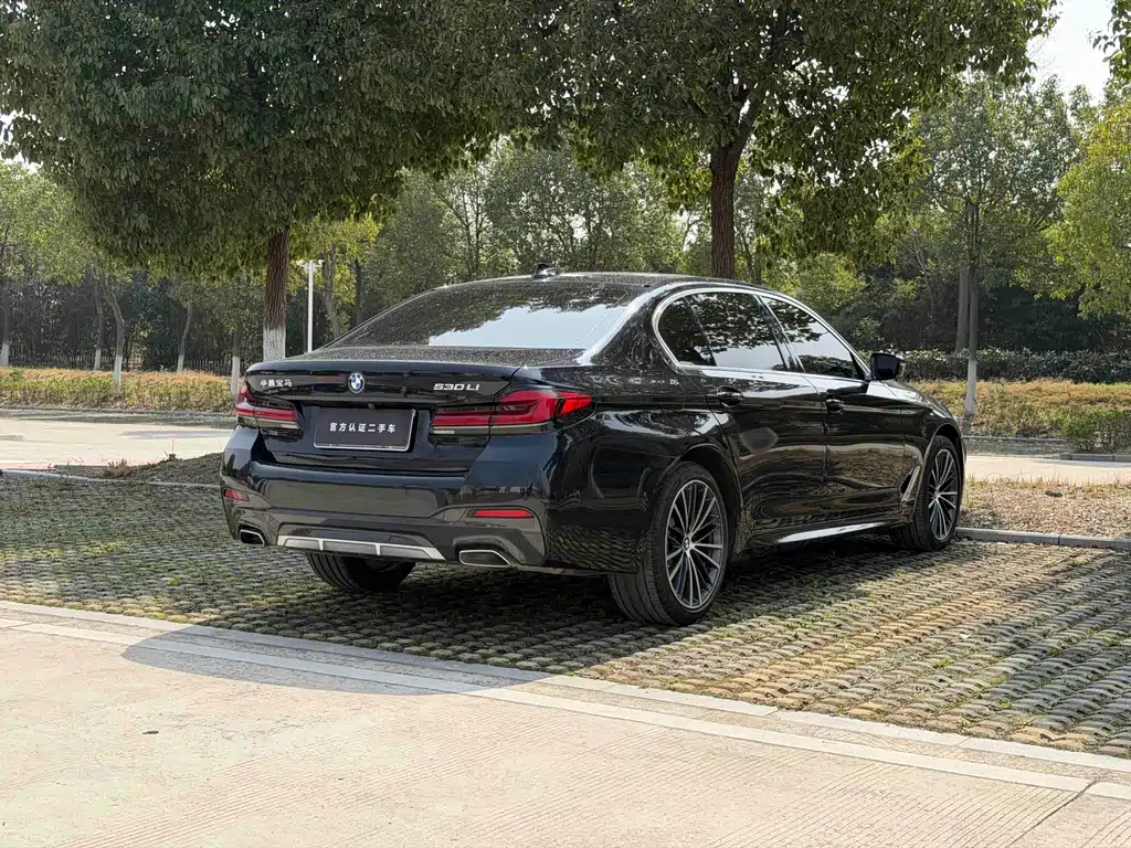 BMW 5 Series 2021 530Li Leading M Sports Package купить на сайте DeffCars