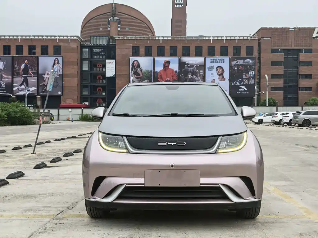 Dolphin 2021 405km Fashion Edition купить на сайте DeffCars
