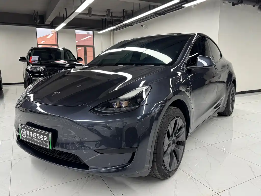 Model Y 2024 rear-wheel drive купить на сайте DeffCars