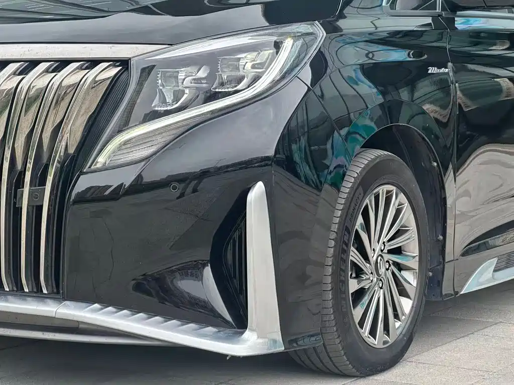 Trumpchi M8 2021 Master Series 390T Extreme Edition купить на сайте DeffCars