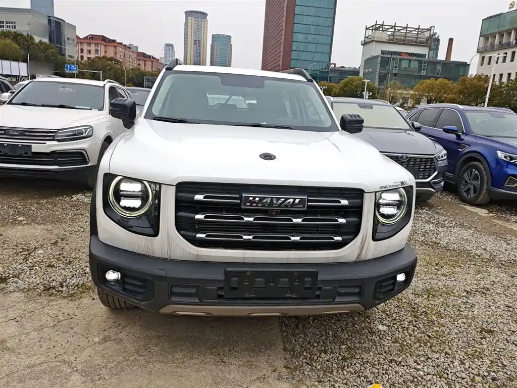 Havaldog 2021 1.5T DCT two-wheel drive Labrador version купить на сайте DeffCars