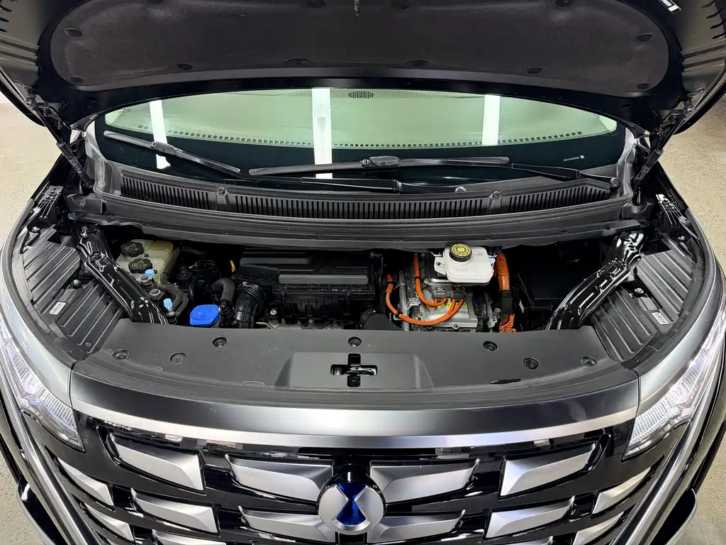 Denza D9 2022 DM-i 1040 Premium Type купить на сайте DeffCars