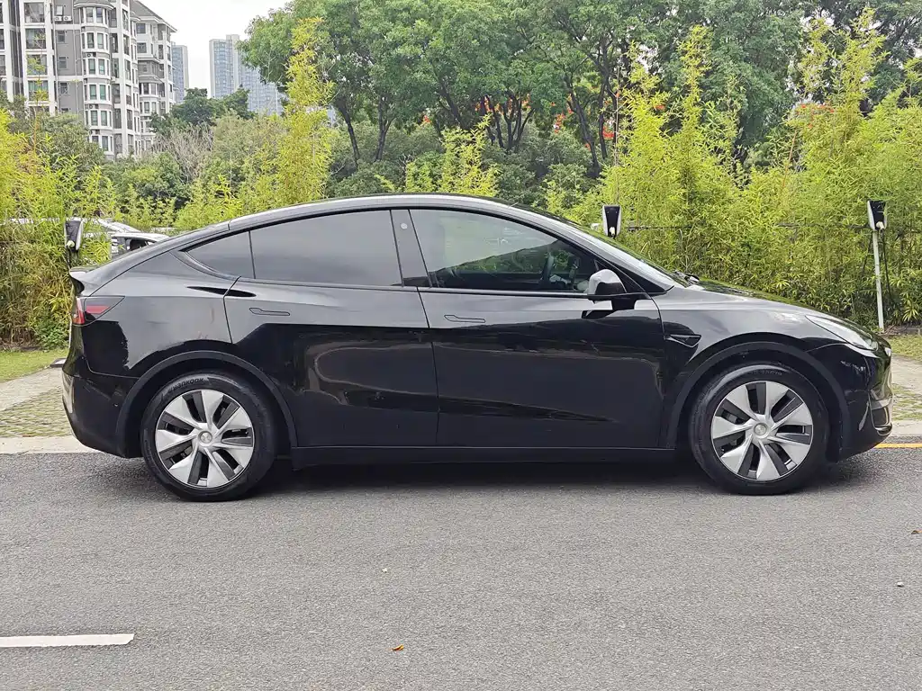 Model Y 2021 standard range rear-wheel drive version купить на сайте DeffCars