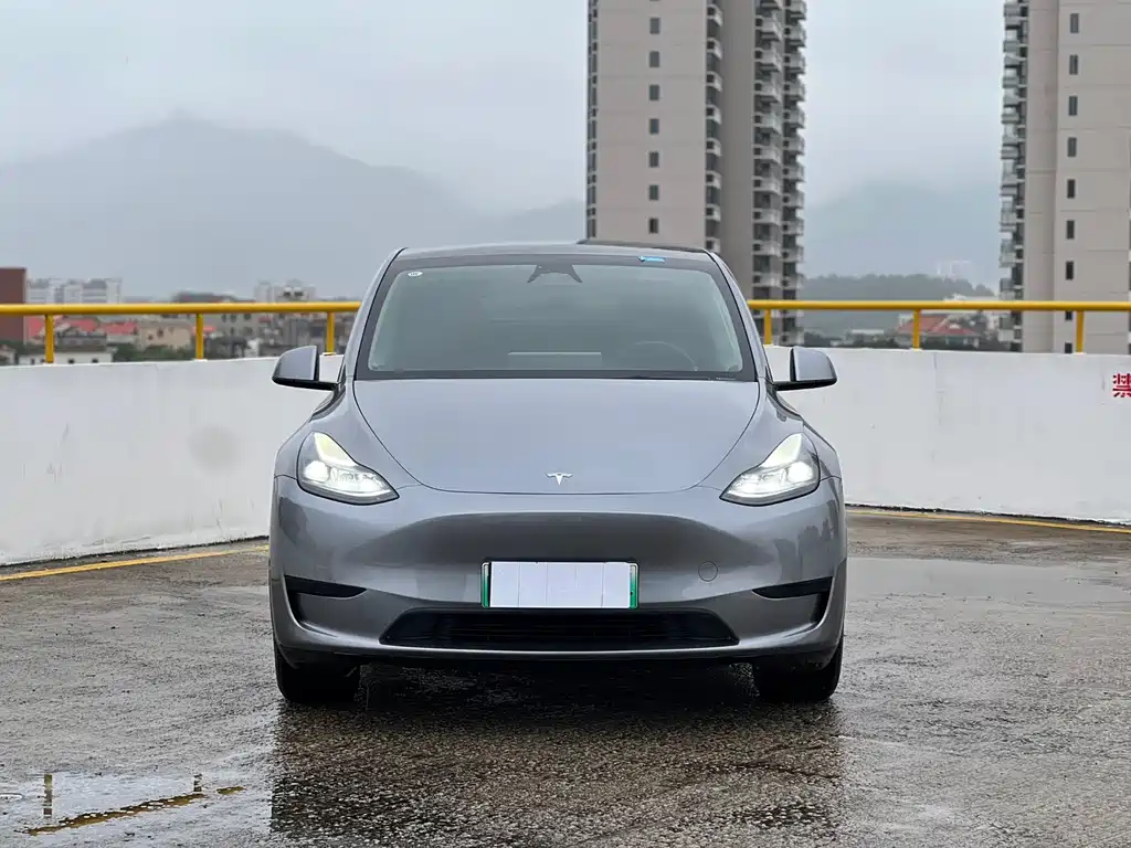 Model Y 2024 rear-wheel drive version купить на сайте DeffCars