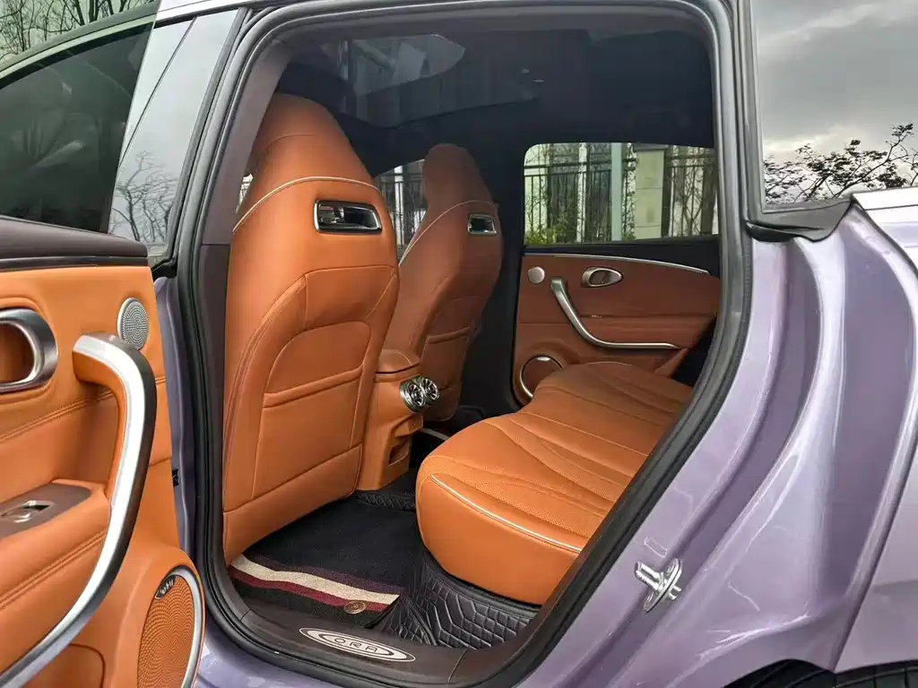 Euler Lightning Cat 2022 600km four-wheel drive high-performance version купить на сайте DeffCars