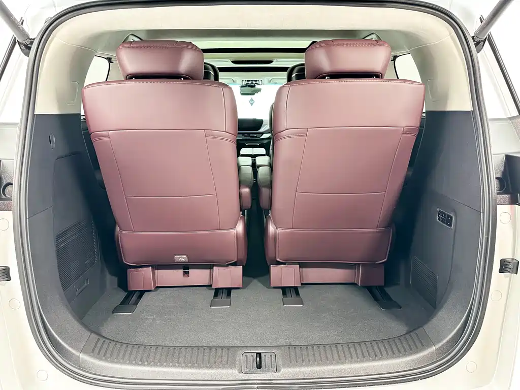 Century 2023 2.0T Six-seater Yuanshi Edition купить на сайте DeffCars