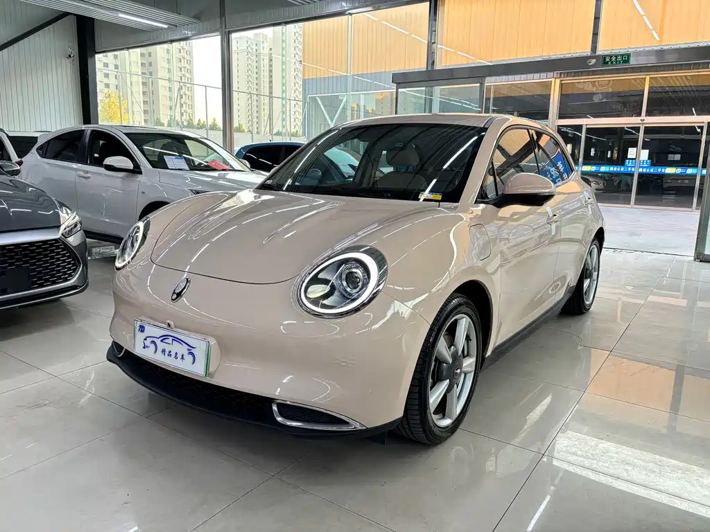Euler Good Cat 2022 model 400km standard battery life premium type lithium iron phosphate купить на сайте DeffCars