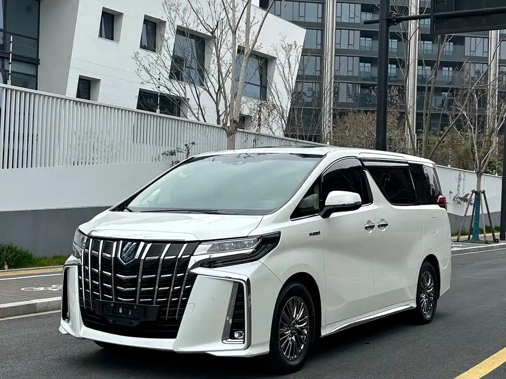 Alfa 2021 Shuangqing 2.5L Premium Edition купить на сайте DeffCars