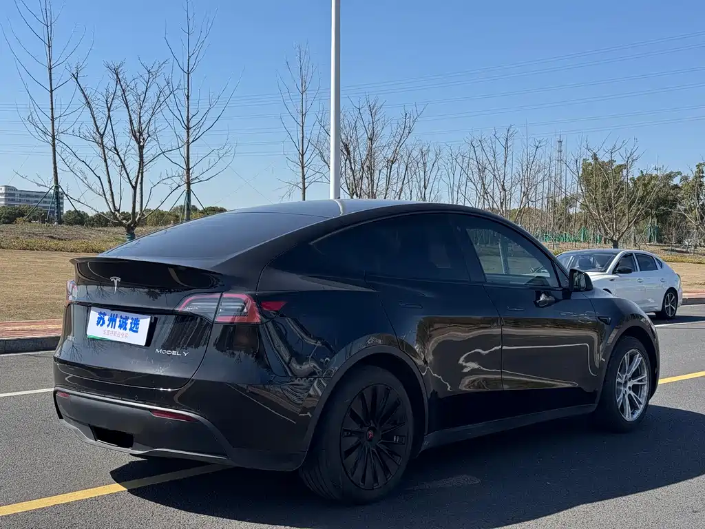 Model Y 2022 rear-wheel drive version купить на сайте DeffCars