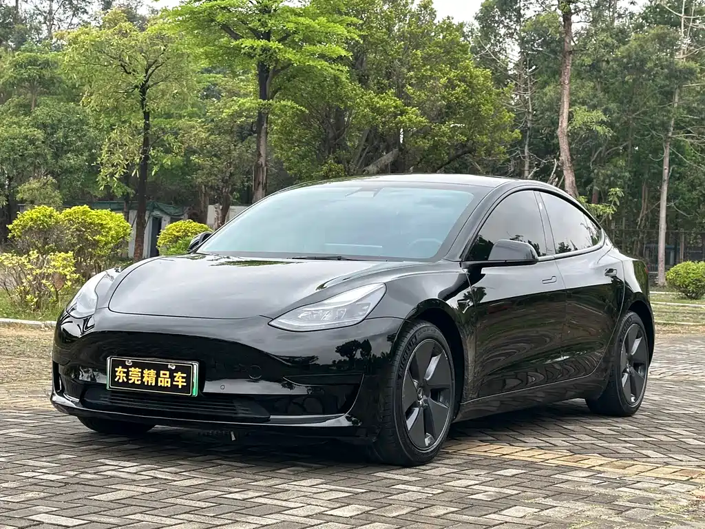 Model 3 2021 standard range rear drive upgraded version 3D6 купить на сайте DeffCars