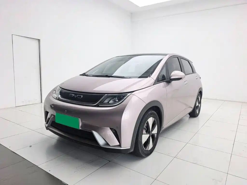 Dolphin 2023 420km Free Edition купить на сайте DeffCars