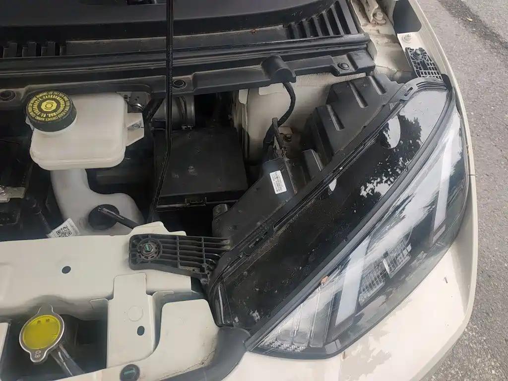 Seagull 2025 305km Free Edition купить на сайте DeffCars