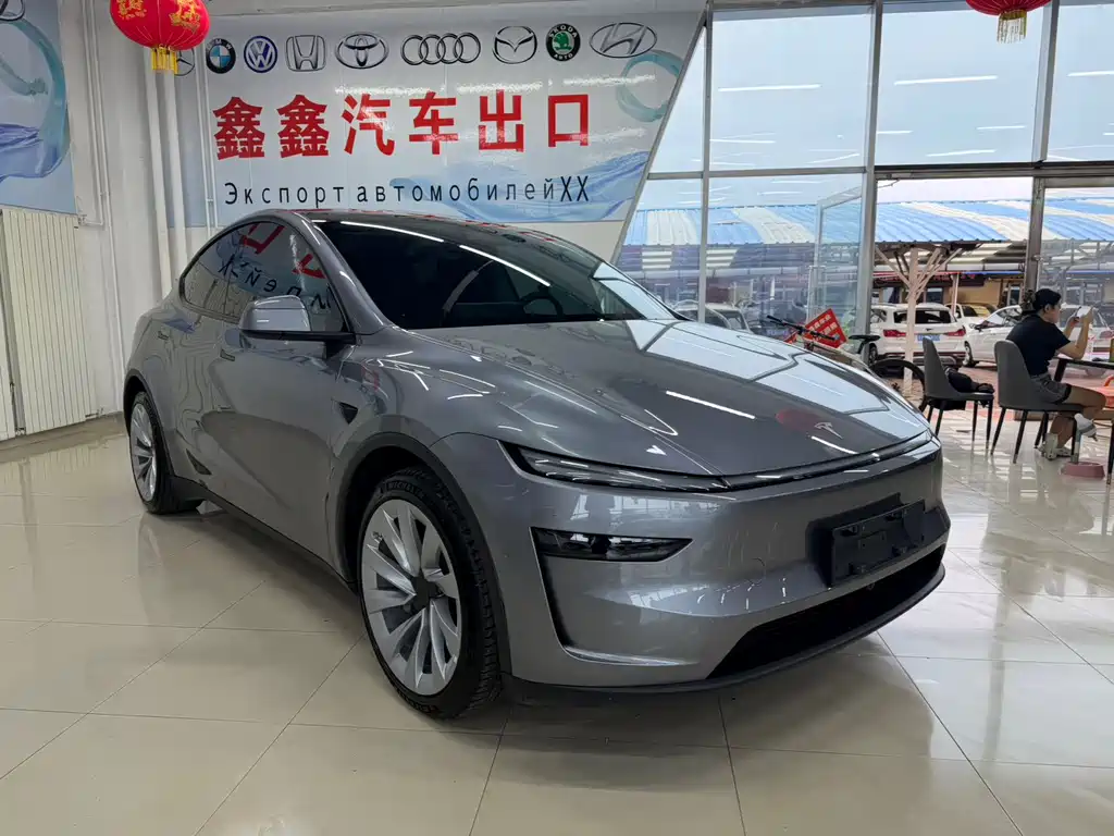 Model Y 2025 long-range all-wheel drive version купить на сайте DeffCars