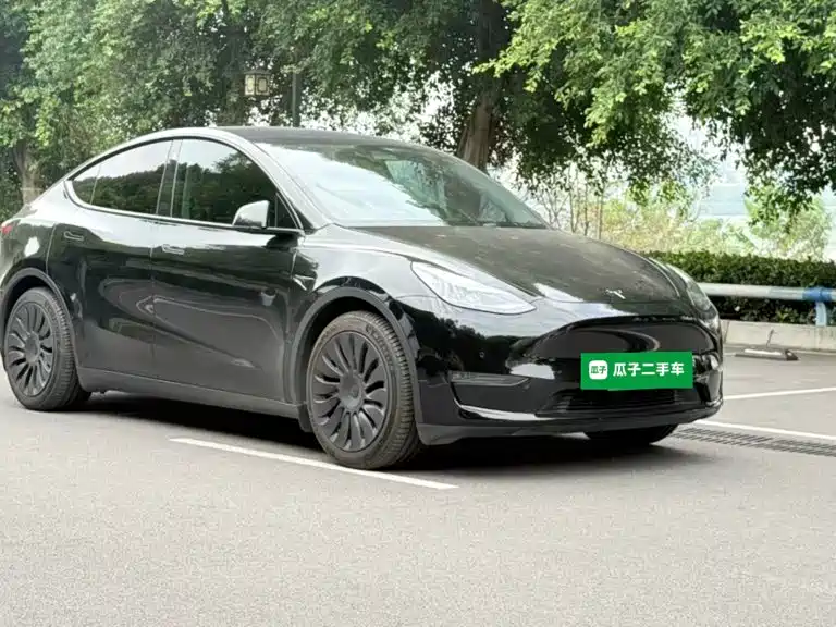 Model Y 2021 standard range rear-wheel drive version купить на сайте DeffCars