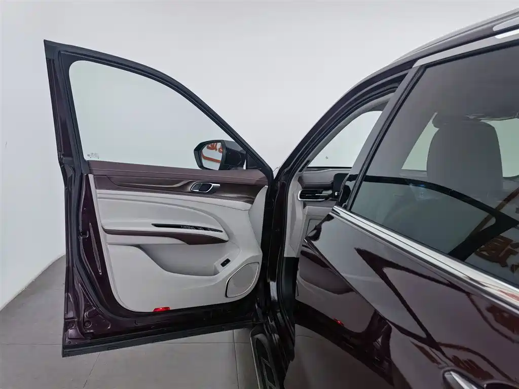 Lingyu 2021 EcoBoost 225 Collar Type 6 Seats купить на сайте DeffCars