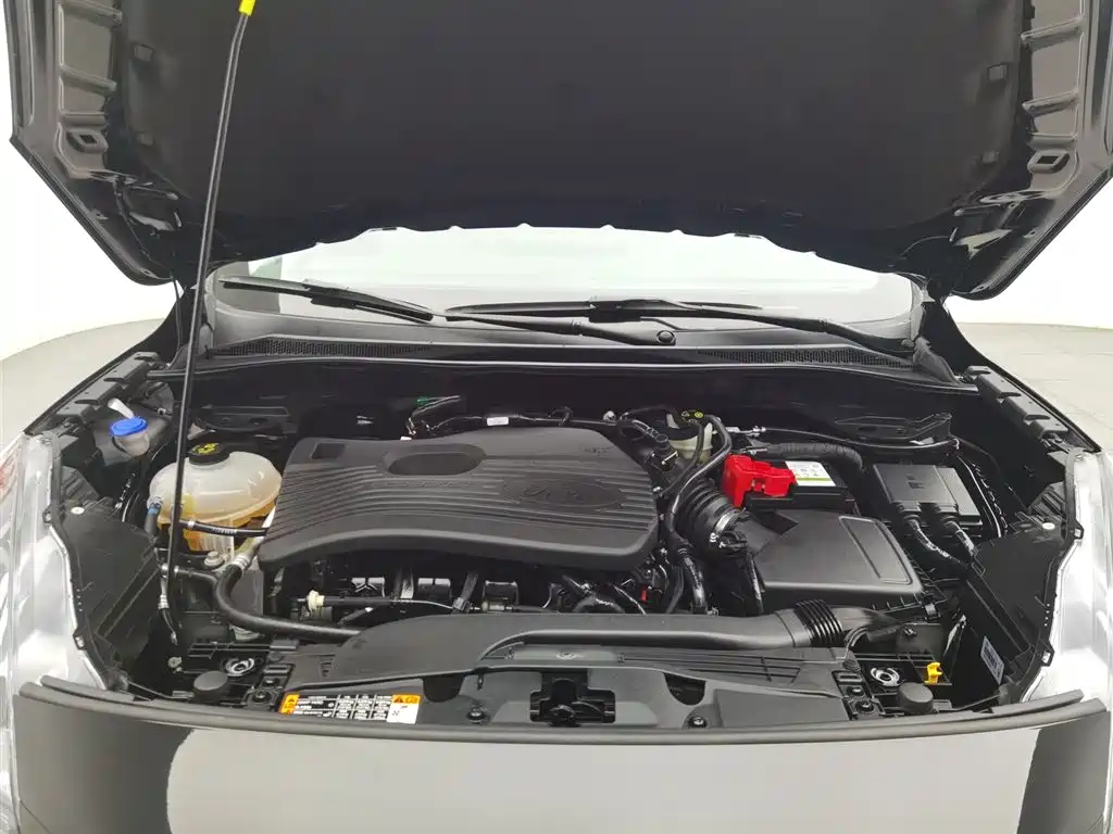 Ruiji 2024 EcoBoost 245 two-wheel drive leisure model купить на сайте DeffCars