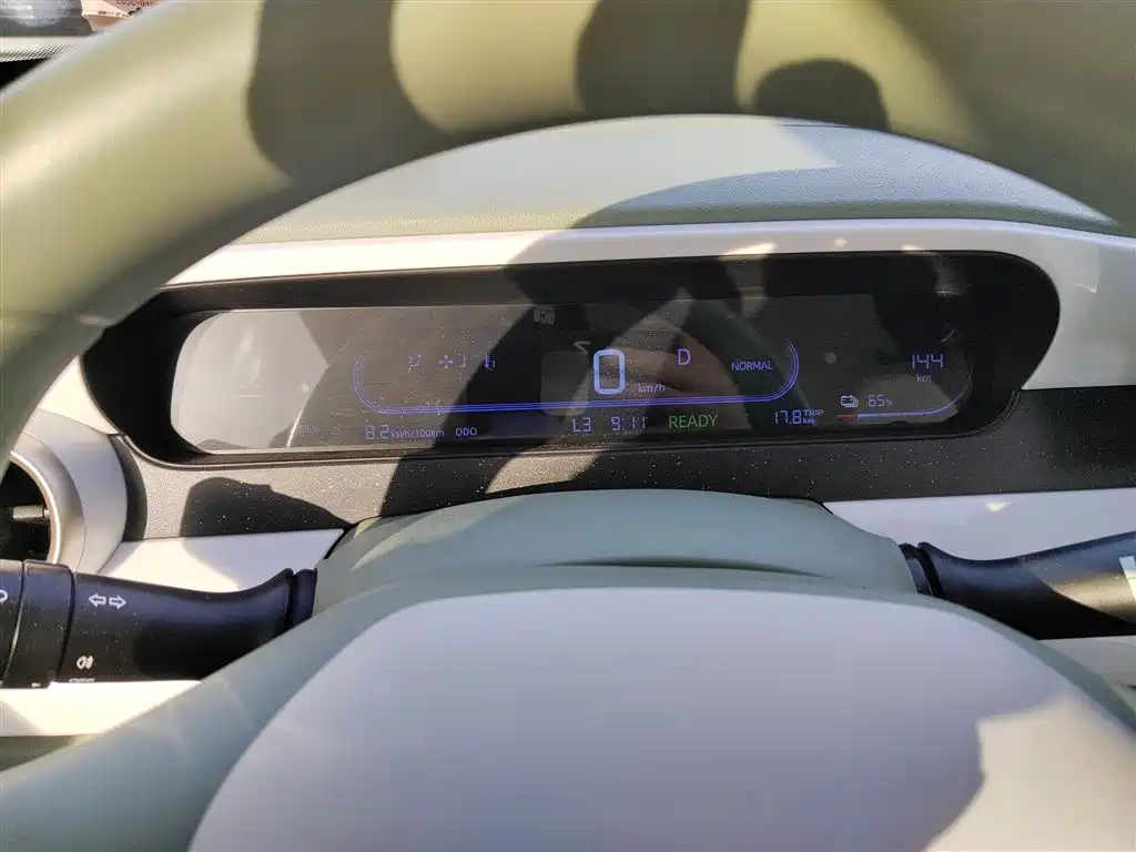 Panda 2025 Panda mini 210km Yuanqi Bear купить на сайте DeffCars