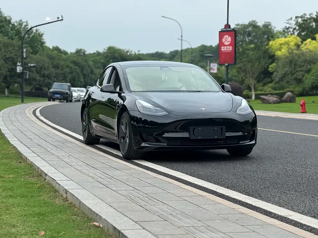 Model 3 2021 facelift standard range rear drive upgraded version 3D1 купить на сайте DeffCars