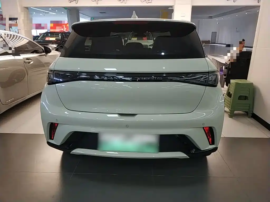 Dolphin 2021 405km Fashion Edition купить на сайте DeffCars