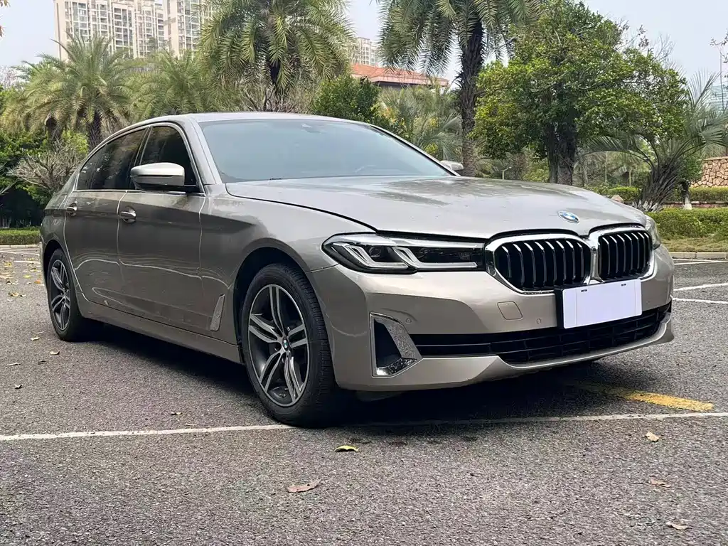 BMW 5 Series 2021 530Li Leading Luxury Package купить на сайте DeffCars
