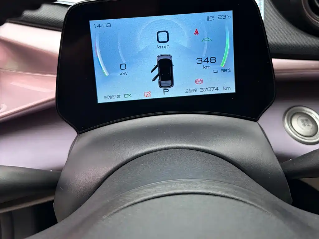 Dolphin 2021 401km Rider Edition купить на сайте DeffCars