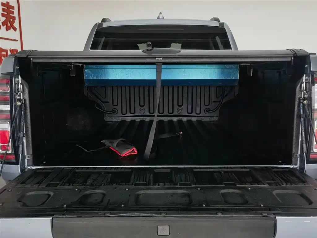 Cannon 2021 2.0T passenger global version automatic gasoline four-wheel drive exclusive standard box GW4C20B купить на сайте DeffCars