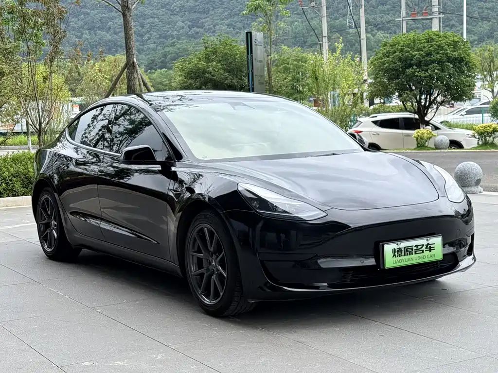 Model 3 2022 rear-wheel drive купить на сайте DeffCars